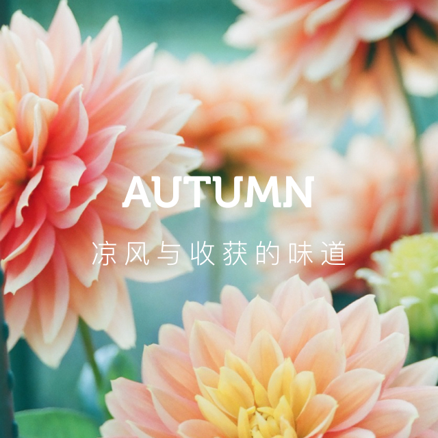 kv-autumn-m